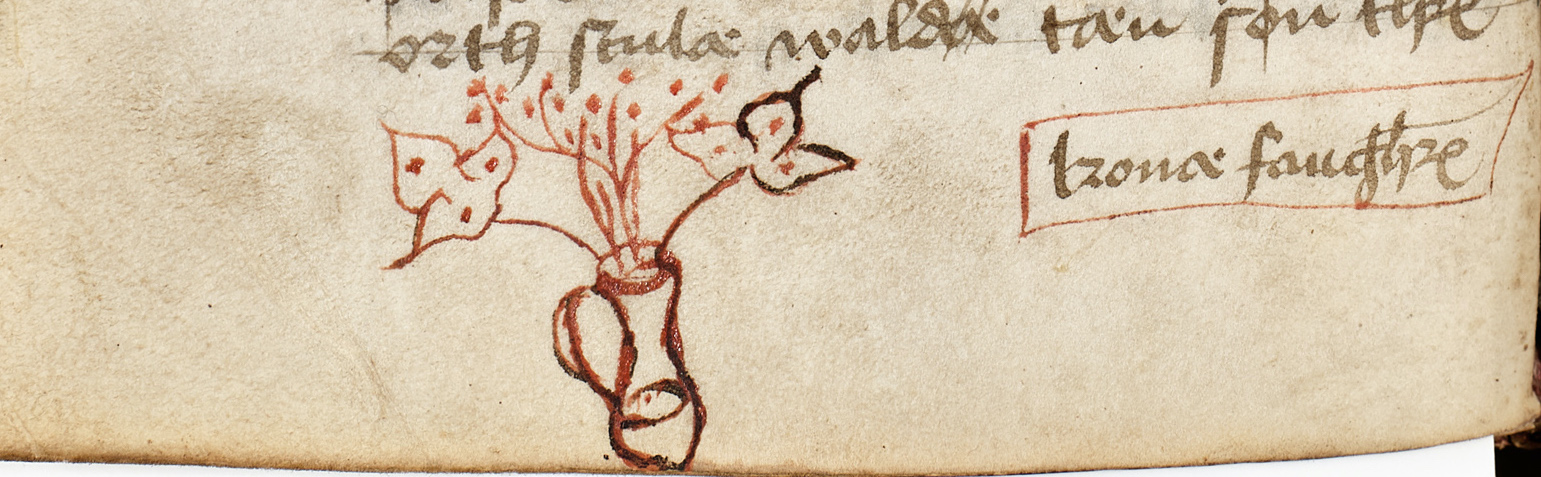 A drawing of a vase with lilies