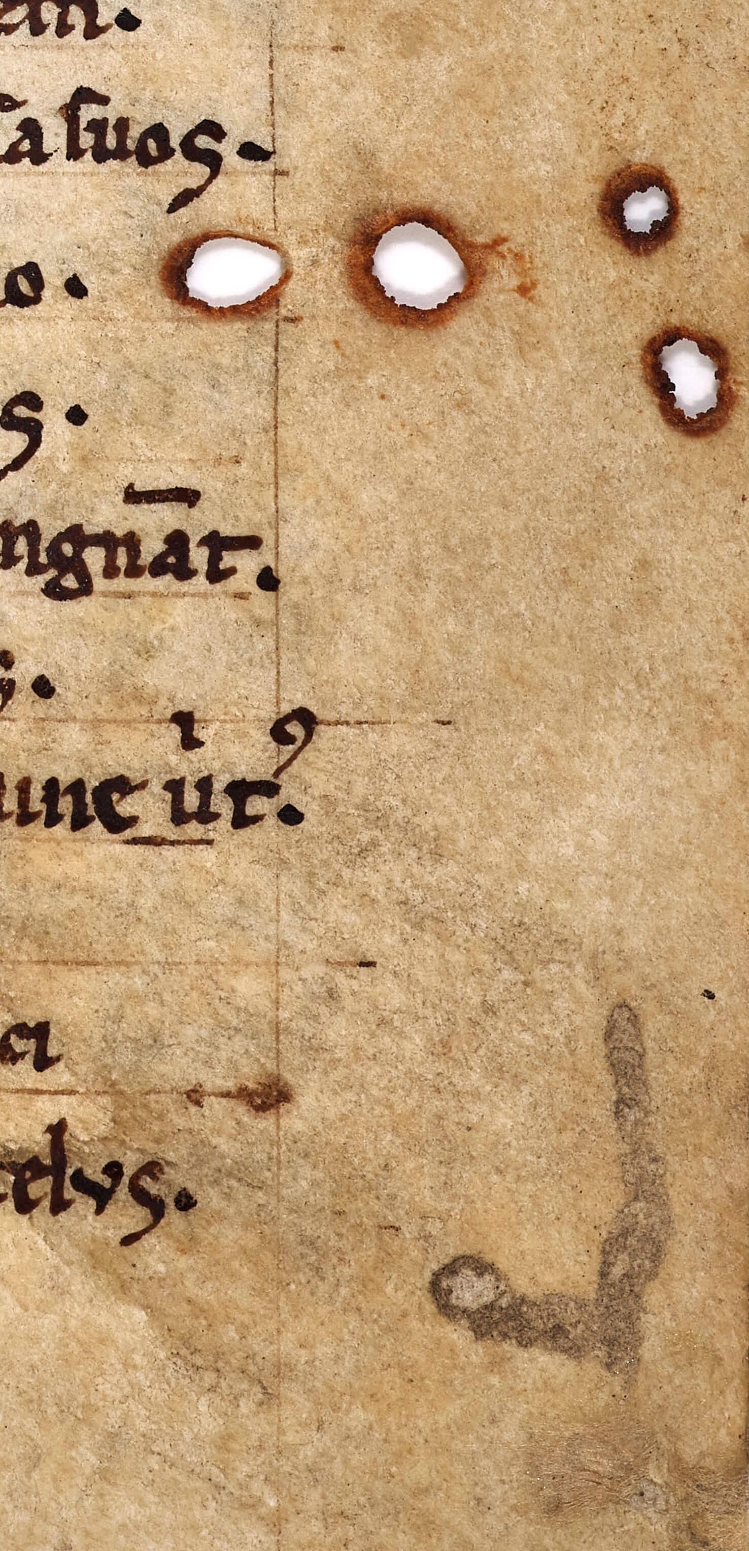 Close-up of manuscript page