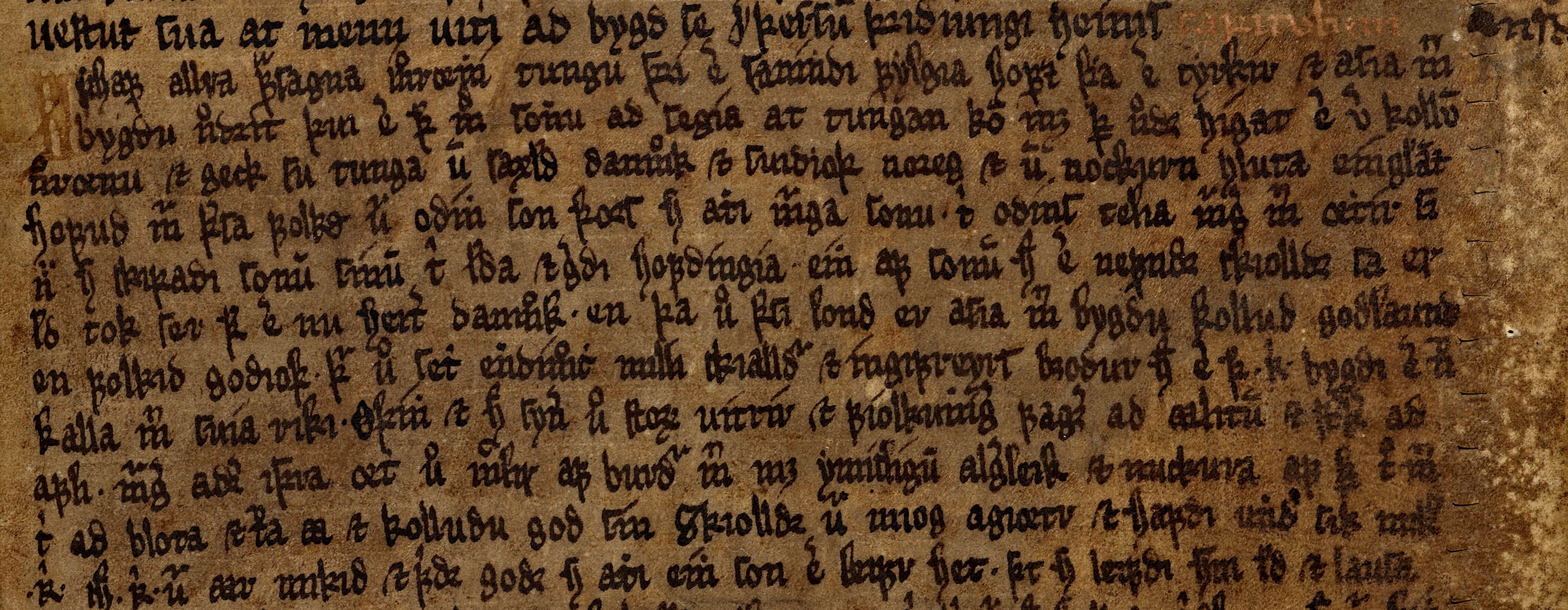 Opening lines of Upphaf allra frásagna (AM 764 4to, 40r)
